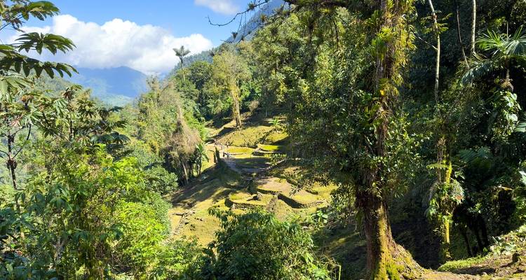 Trek de la ville perdue en Colombie 4 jours - GUIDEcuador Travel 3