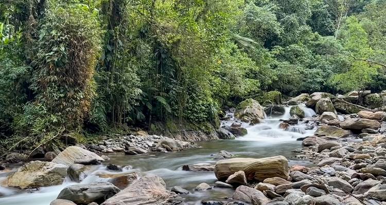 Trek de la ville perdue en Colombie 4 jours - GUIDEcuador Travel 9