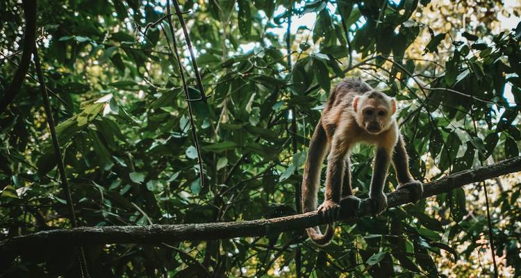 5 jours-Santa Marta Colombie : L'âme caribéenne et les sentiers de la Sierra - Responsible Travel South America 3