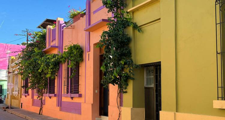 Casas coloniales pintadas de colores vivos con enredaderas floridas bordeando una calle estrecha y soleada