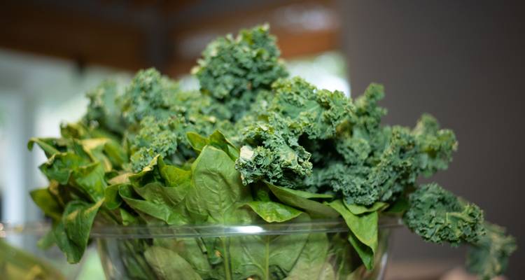 Close-up of bowl of fresh green kale.