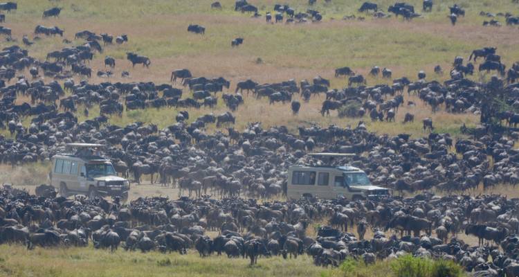 The Great Kenya and Tanzania Explorer (Private 13 Days and 6 Game Reserves) - Professional Safari Africa 6