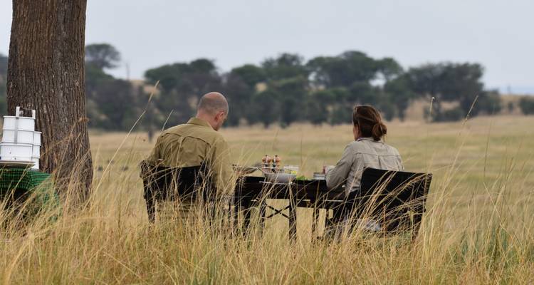 The Great Kenya and Tanzania Explorer (Private 13 Days and 6 Game Reserves) - Professional Safari Africa 8