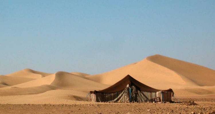 Camels, Souks & Kasbahs - 15 Days - On The Go Tours 9