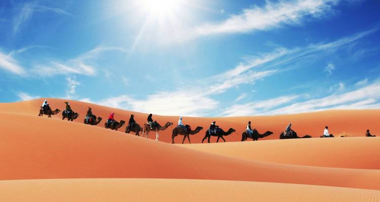 Camels, Souks & Kasbahs - 15 Days - On The Go Tours 6