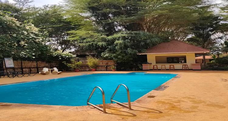 Schwimmbadbereich mit umgebender Begrünung und Sitzgelegenheiten.