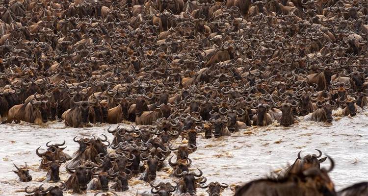 7 jours de safari en Tanzanie - Wonders of Creation Tours and Safaris 4