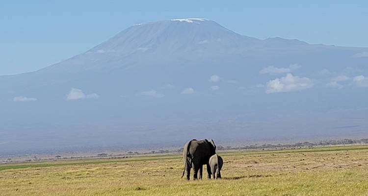 Safari Esplendor de África - Holiday Destination Safaris 1
