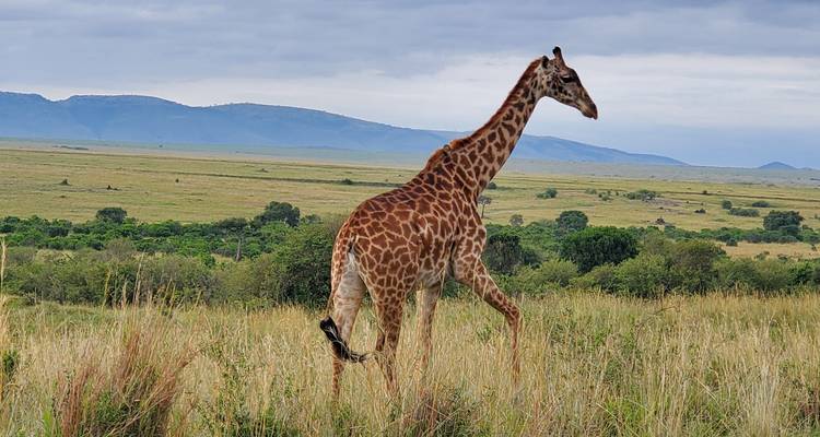 Safari Esplendor de África - Holiday Destination Safaris 6