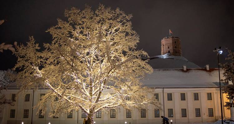 Vilnius Christmas markets - Small group! - Travel Addicts Club 2