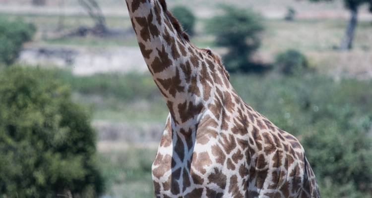 7 Days - Big Cats Best  African Leading National park adventure Tour - Wonders of Creation Tours and Safaris 9