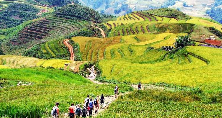 Northern Vietnam in 6 Days: Sapa Trek, Hanoi Food Tour & Cooking Class - Up Travel Vietnam 4