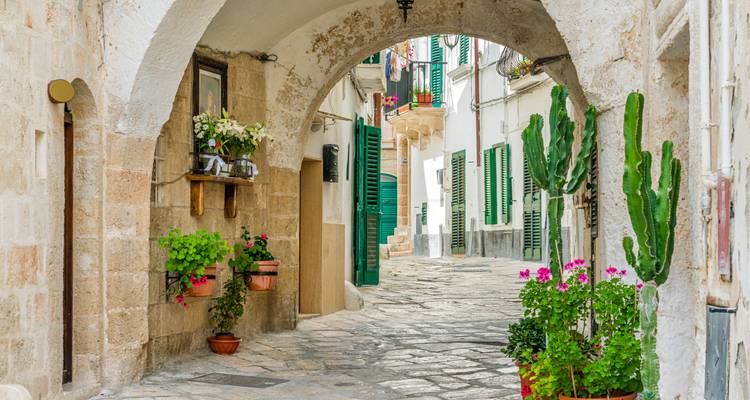 Callejón de piedra encantador con arcos, persianas verdes, macetas y flores brillantes en el sur de Italia.