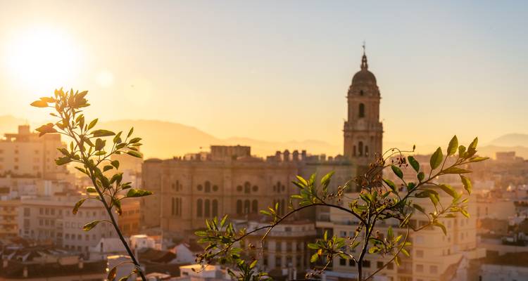 La luz cálida del atardecer siluetea la torre de la Catedral de Málaga con un delicado follaje en primer plano.