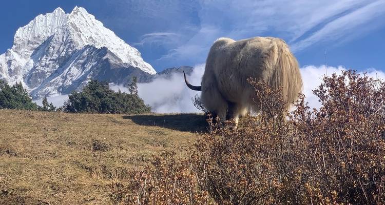 Everest Base Camp Short Trek - Overland Trek Nepal 6