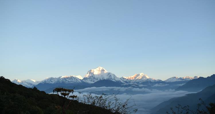 Excursión al campamento base del Annapurna - Overland Trek Nepal 10