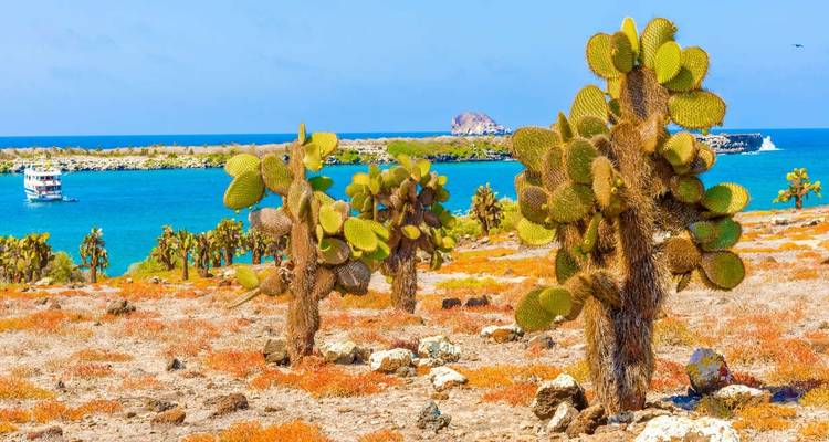 Galápagos - islas central y occidental a bordo del Solaris - Explore! 3