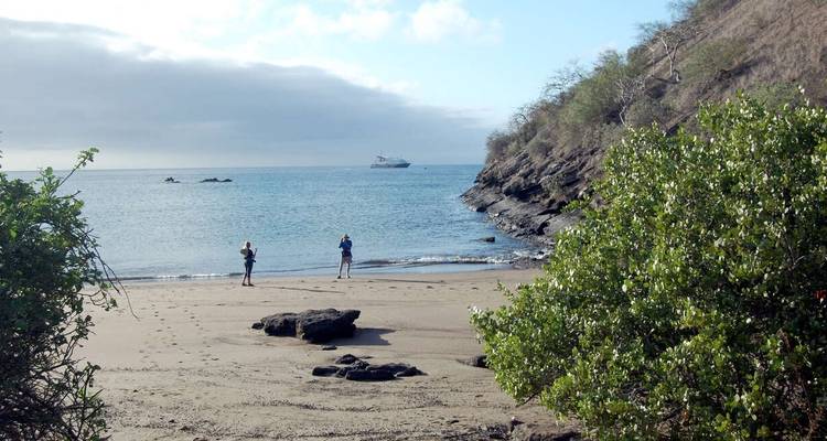 Galapagos - Central, South & East Islands aboard the Archipel I - Explore! 10