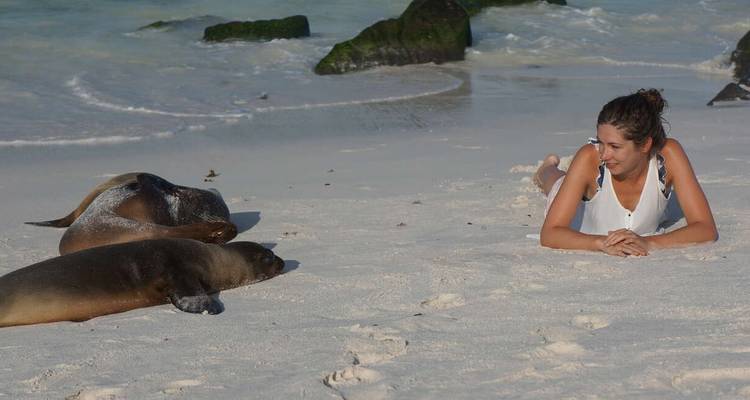 Galapagos - Central & West Islands aboard the Treasure - Explore! 10