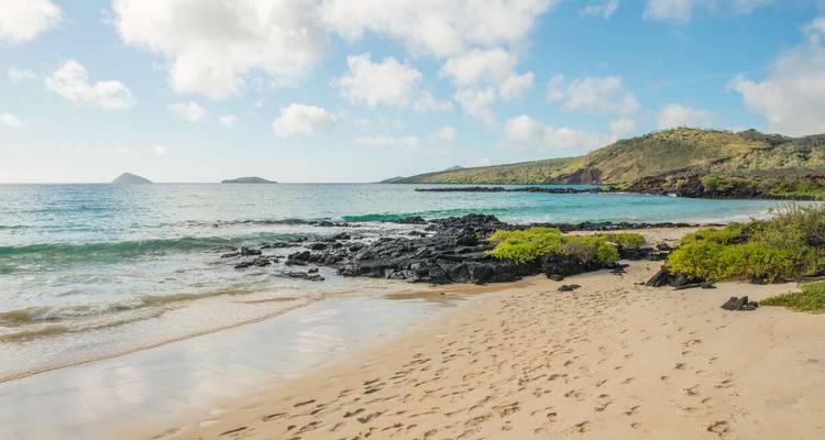 Galápagos exprés - islas centrales y occidentales a bordo del Archipel I - Explore! 7
