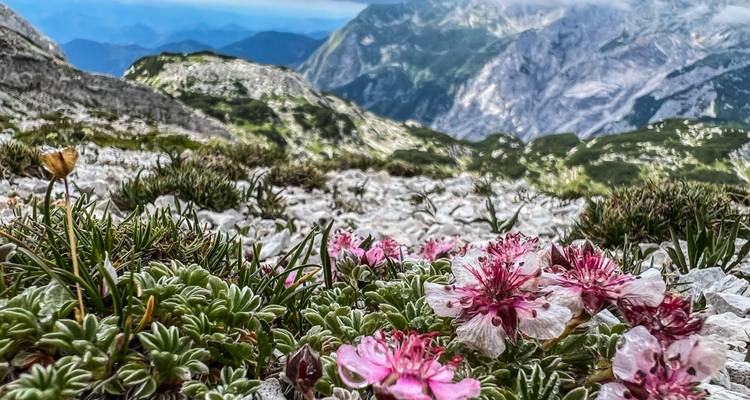 Tour de Julian Alps | Hut-to-hut Trekking - LIFE Adventures 6