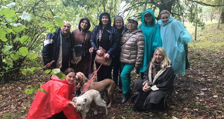 Group of people in rain gear with two dogs in a forest