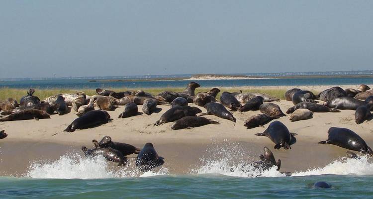 6 Day Skeleton Coast and Sossusvlei Experience - Chameleon Safaris Namibia 9