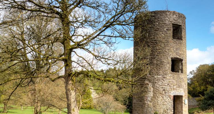 Torre de piedra redonda y desgastada ubicada en un hermoso paisaje rural irlandés lleno de vegetación