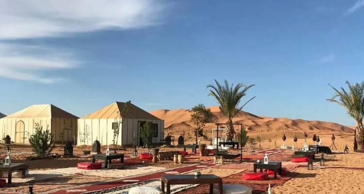 Wüsten-Campingplatz mit Zelten und Palmen.