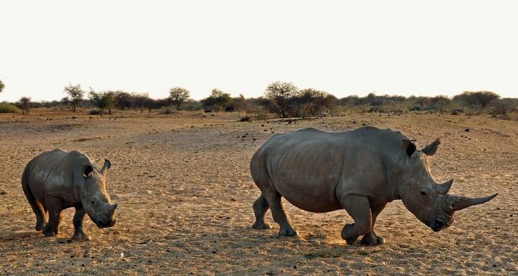 Namibia - Especial del Chef: Expedición Hinteres Kaokoveld & van Zyl's Pass - Travel To Life 3