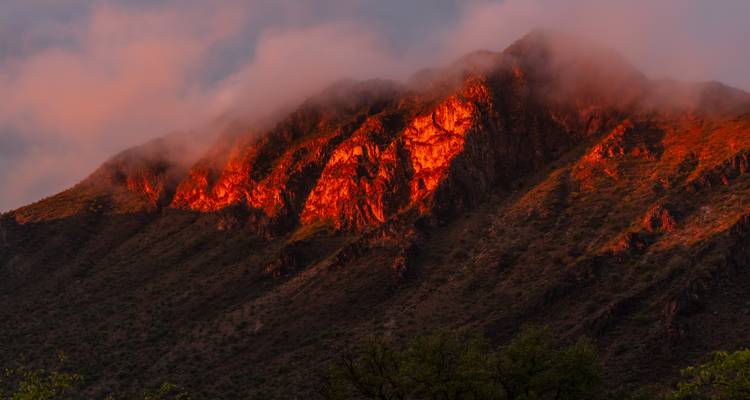 Namibia - Especial del Chef: Expedición Hinteres Kaokoveld & van Zyl's Pass - Travel To Life 4
