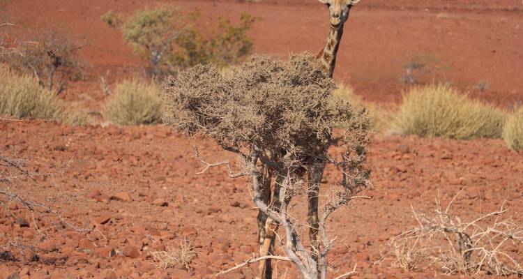 Namibia - Viaje de aventura por Kaokoveld, Damaraland y Etosha - Travel To Life 8