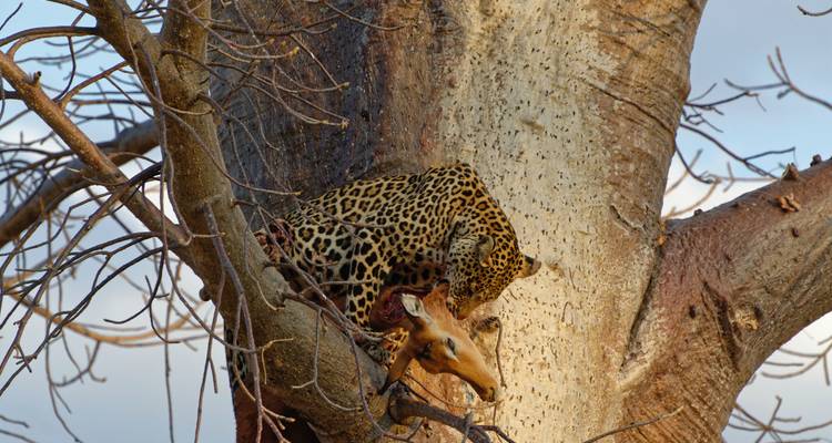 Tanzanie - Safari dans le sud sauvage - Travel To Life 3
