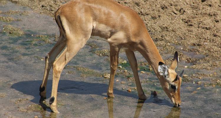 Tanzanie - Safari dans le sud sauvage - Travel To Life 4