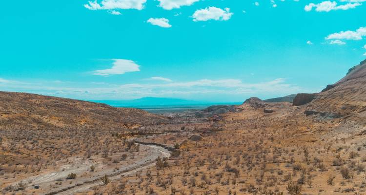 Paysage aride avec végétation clairsemée et ciel dégagé.