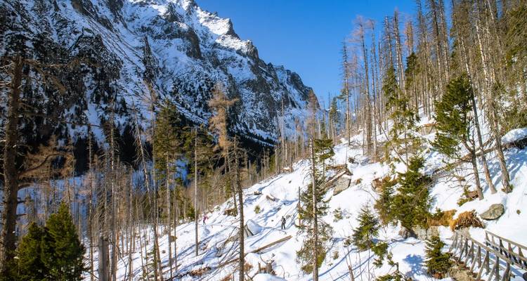 Trek hivernale dans les Hautes Tatras en Slovaquie - Slovakation 7