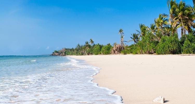 17 Days Best of Kenya Wilderness Gateway With Diani Beach Holiday - Gracepatt Ecotours Kenya 2