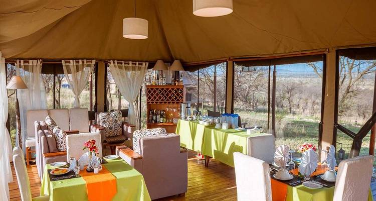 7-Day Experience the Spectacular Southern Serengeti Migration Safari during Ndutu Calving Season. - Africa Natural Tours 2