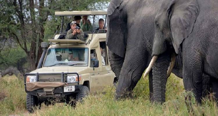Best 6 days African Big 5 Safari with Reasonable Prices. - Africa Natural Tours 4