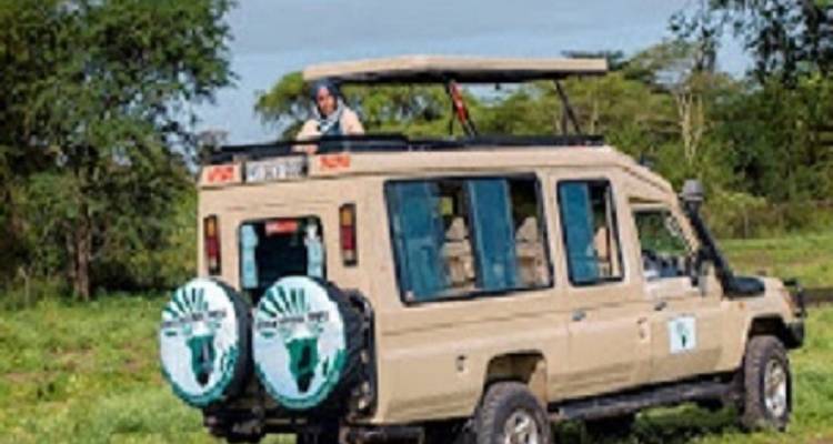 Safari-Fahrzeug auf einer grasbewachsenen Ebene.