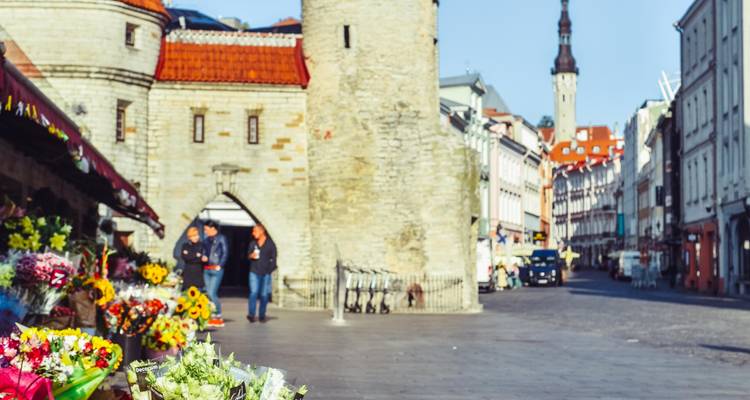 Baltic Adventures in 14 days - Travel Addicts Club 7