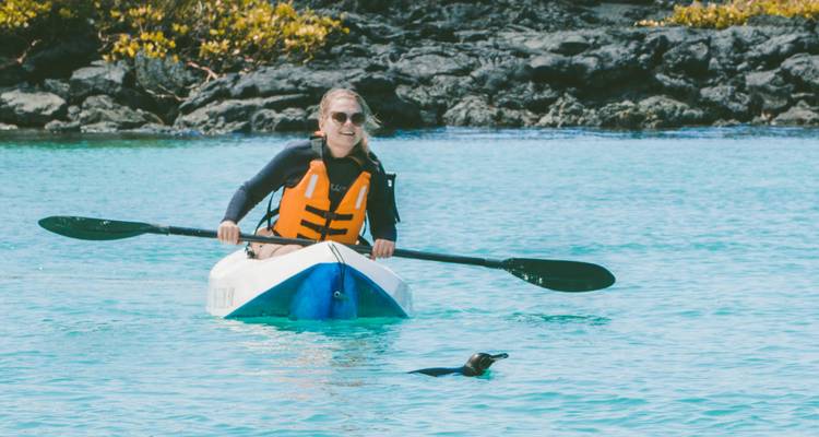 Person kayaking on clear blue water with a penguin nearby.