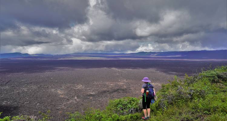 Person hiking on a vast volcanic landscape under dramatic skies.