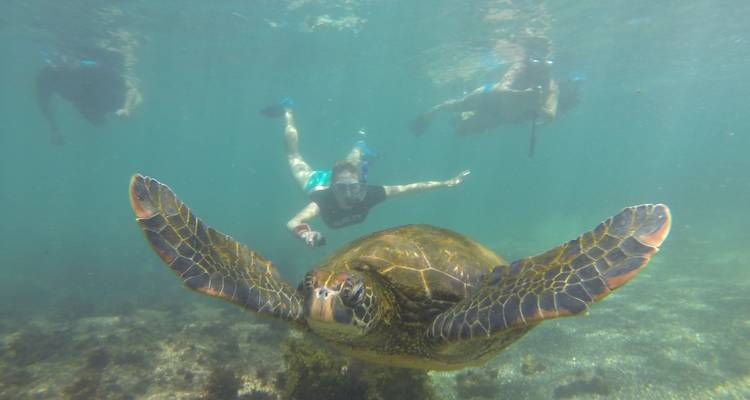 Multisport Galápagos privado - Adventure Journeys 4