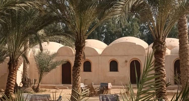 Des bâtiments de maison d'hôtes aux toits en dôme de style adobe entourés de grands palmiers dans une oasis désertique.