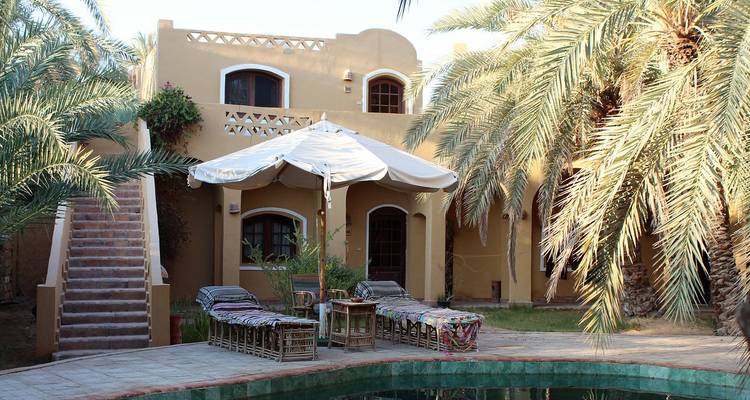 Une charmante villa en adobe avec un patio ombragé et une petite piscine entourés de magnifiques dattiers luxuriants.