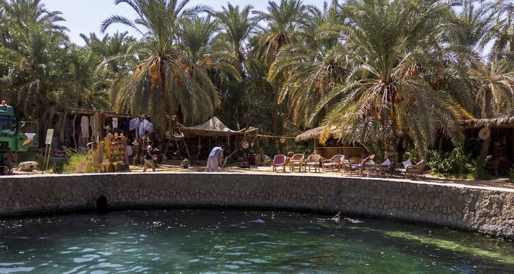 Discover the Serenity of Cairo, Alexandria and Siwa Oasis: Cultural and Eco Trip - Pharaohn Tours 2