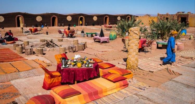 Discover the Serenity of Cairo, Alexandria and Siwa Oasis: Cultural and Eco Trip - Pharaohn Tours 4