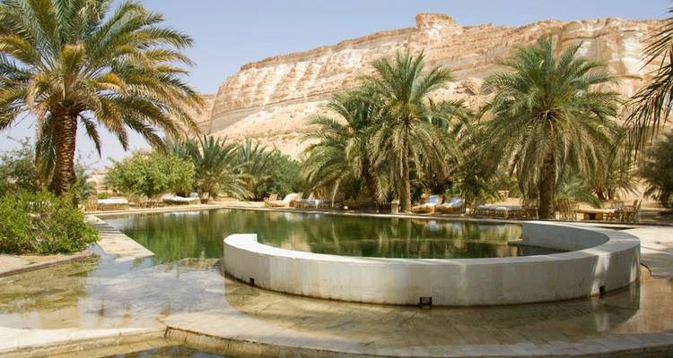 Discover the Serenity of Cairo, Alexandria and Siwa Oasis: Cultural and Eco Trip - Pharaohn Tours 6