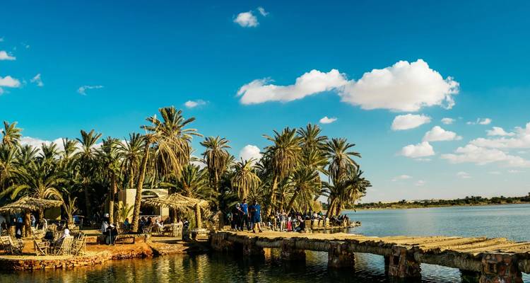 Üppige Palmenoase am Wasser, mit Menschen, die die Landschaft genießen.